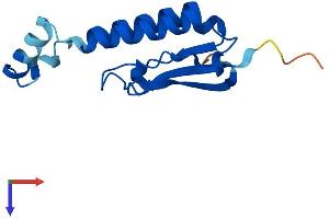 AlphaFold protein structure predicition of Mouse Recombinant Golga7 Protein, UniprotID Q91W53