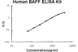 Human BAFF Accusignal ELISA Kit Human BAFF AccuSignal ELISA Kit standard curve. (BAFF Kit ELISA)