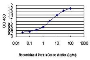 Detection limit for recombinant GST tagged RNPC2 is approximately 0.