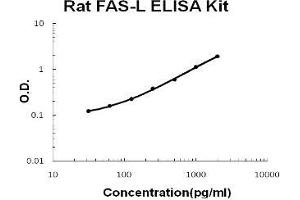 Rat FAS-L PicoKine ELISA Kit standard curve