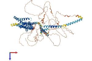 AlphaFold protein structure predicition of Human Recombinant KCNQ2 Protein, UniprotID O43526