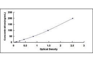 Glutathione Peroxidase 4 (GPX4) ELISA Kit