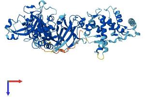 AlphaFold protein structure predicition of Human Recombinant CAPN9 Protein, UniprotID O14815