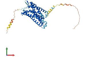 AlphaFold protein structure predicition of Mouse Recombinant Lpar4 Protein, UniprotID Q8BLG2
