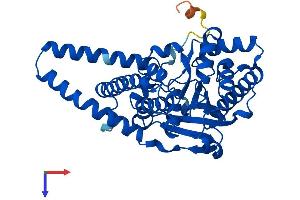 AlphaFold protein structure predicition of Mouse Recombinant Agpat3 Protein, UniprotID Q9D517
