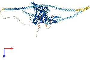 AlphaFold protein structure predicition of Mouse Recombinant Hip1 Protein, UniprotID Q8VD75