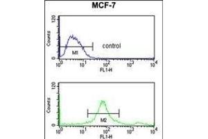 SUMO1 Antibody f flow cytometry analysis of MCF-7 cells (bottom histogram) compared to a negative control cell (top histogram). (SUMO1 anticorps)