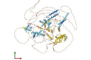 AlphaFold protein structure predicition of Mouse Recombinant Snapc4 Protein, UniprotID Q8BP86
