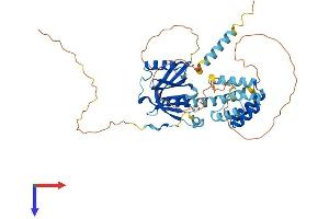 AlphaFold protein structure predicition of Mouse Recombinant Ccm2 Protein, UniprotID Q8K2Y9