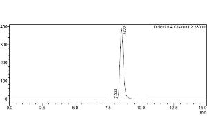 Assessment of protein purity for human FcRn (FCGRT-B2M) heterodimer protein by SEC-HPLC.
