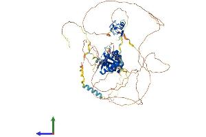 AlphaFold protein structure predicition of Human Recombinant MEX3D Protein, UniprotID Q86XN8