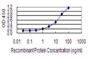 Detection limit for recombinant GST tagged IGKV1OR2-108 is 0. (IGKV1OR2-108 anticorps  (AA 1-95))