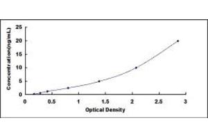 Typical standard curve (SLC1A2 Kit ELISA)