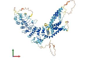 AlphaFold protein structure predicition of Human Recombinant TRPV2 Protein, UniprotID Q9Y5S1