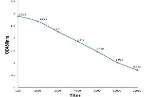 Antigen: 0. (Hiv P55+P6-Gag anticorps)
