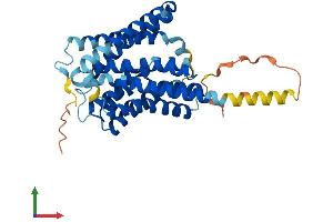 AlphaFold protein structure predicition of Human Recombinant SLC10A1 Protein, UniprotID Q14973
