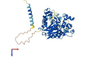AlphaFold protein structure predicition of Human Recombinant CHST1 Protein, UniprotID O43916