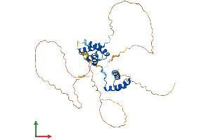 AlphaFold protein structure predicition of Human Recombinant POU3F4 Protein, UniprotID P49335