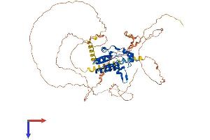 AlphaFold protein structure predicition of Mouse Recombinant N4bp2l2 Protein, UniprotID Q8JZS6