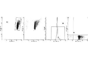 Image no. 1 for anti-Glycophorin A (GYPA) antibody (ABIN1106118) (CD235a/GYPA anticorps)