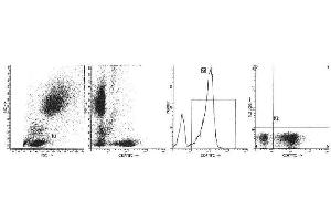 Image no. 1 for anti-CD7 (CD7) antibody (FITC) (ABIN1106542) (CD7 anticorps  (FITC))