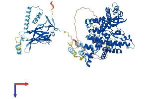 AlphaFold protein structure predicition of Human Recombinant PIK3C3 Protein, UniprotID Q8NEB9