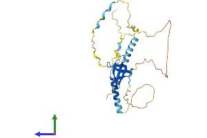 AlphaFold protein structure predicition of Mouse Recombinant Smn1 Protein, UniprotID P97801