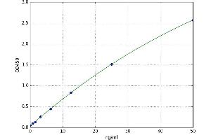 Carboxypeptidase A3 (Mast Cell) (CPA3) ELISA Kit