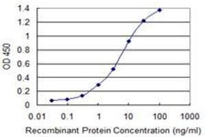 Detection limit for recombinant GST tagged XAGE2 is 0.