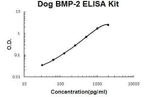 Dog BMP-2 PicoKine ELISA Kit standard curve (BMP2 Kit ELISA)