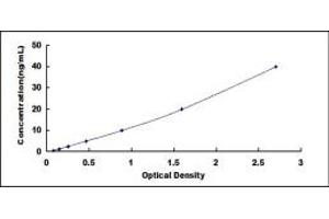 Typical standard curve (Factor XI Kit ELISA)