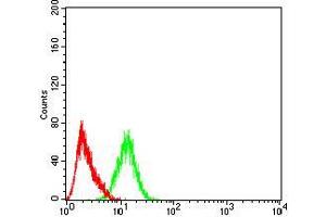 Flow cytometric analysis of HEK293 cells using PYCARD mouse mAb (green) and negative control (red).