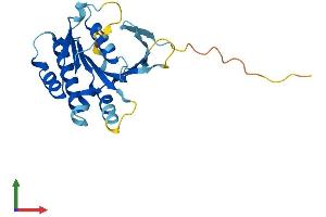 AlphaFold protein structure predicition of Human Recombinant SWSAP1 Protein, UniprotID Q6NVH7