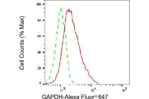 Flow cytometric analysis of GAPDH expression in HepG2 cells using GAPDH antibody (ABIN7798767), 1:2,000). (GAPDH anticorps)