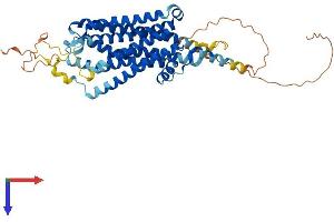 AlphaFold protein structure predicition of Human Recombinant GPR39 Protein, UniprotID O43194