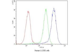 Flow cytometry testing of human U-2 OS cells with BMP5 antibody at 1ug/10^6 cells (blocked with goat sera) (BMP5 anticorps)