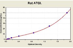 Diagramm of the ELISA kit to detect Rat ATGLwith the optical density on the x-axis and the concentration on the y-axis. (PNPLA2 Kit ELISA)