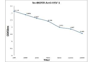 Antigen: 0. (Herpes Simplex Virus Type 1 (HSV1) anticorps)