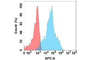 Flow cytometry analysis with Anti-AD on Expi293 cells transfected with human AD (Blue histogram) or Expi293 transfected with irrelevant protein (Red histogram).