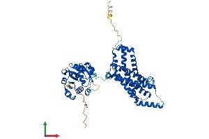 AlphaFold protein structure predicition of Human Recombinant STEAP3 Protein, UniprotID Q658P3
