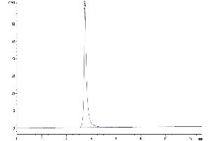 The purity of SIRP alpha is greater than 95 % as determined by SEC-HPLC. (SIRPA Protein (AA 31-370) (Fc Tag))