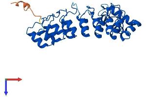 AlphaFold protein structure predicition of Mouse Recombinant Asb13 Protein, UniprotID Q8VBX0