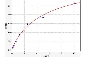 Typical standard curve (PRKAA2 Kit ELISA)