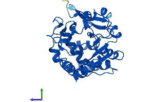AlphaFold protein structure predicition of Mouse Recombinant Sult1a1 Protein, UniprotID P52840