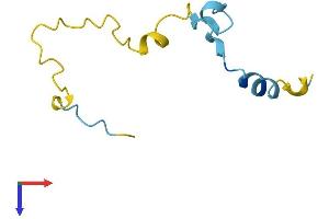 AlphaFold protein structure predicition of Mouse Recombinant Camk2n2 Protein, UniprotID Q78WH7