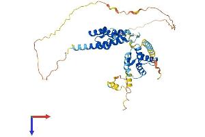 AlphaFold protein structure predicition of Human Recombinant ZCCHC12 Protein, UniprotID Q6PEW1