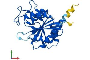 AlphaFold protein structure predicition of Human Recombinant PGPEP1 Protein, UniprotID Q9NXJ5