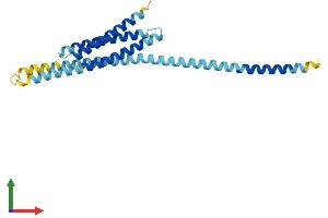 AlphaFold protein structure predicition of Mouse Recombinant Bnip1 Protein, UniprotID Q6QD59