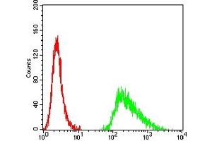 Flow cytometric analysis of Hela cells using GPC3 mouse mAb (green) and negative control (red). (Glypican 3 anticorps  (AA 359-554))