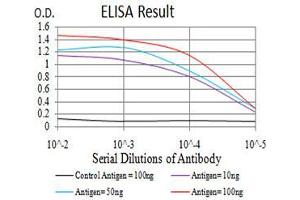 Black line: Control Antigen (100 ng), Purple line: Antigen(10 ng), Blue line: Antigen (50 ng), Red line: Antigen (100 ng), (KDM1B anticorps  (AA 6-129))